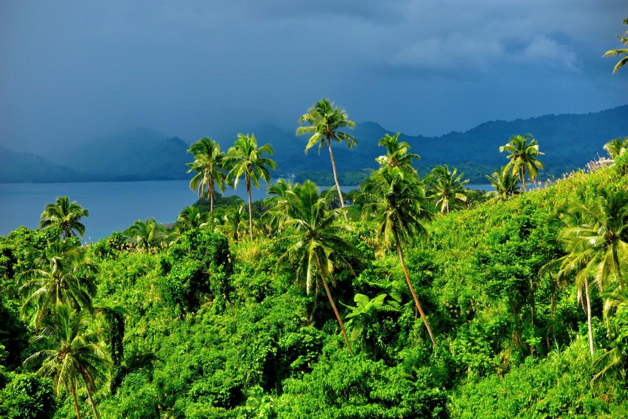 Latui Loft Hotell Savusavu Exteriör bild